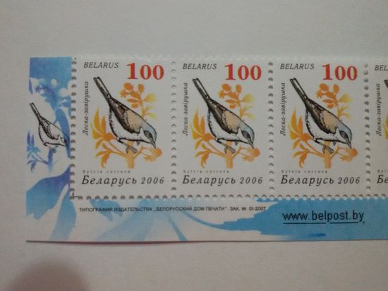 Беларусь. 2006. Девятый стандарт. Зак. 01-2007. Лист 7х3. Нижняя сцепка (А016)