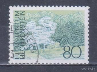[1206] Лихтенштейн 1972. Ландшафт. Гашеная марка. 3