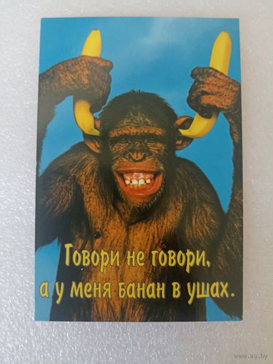 Животные, Обезьяны, 2004 год. Карманные календарики, Календарик, Календарь