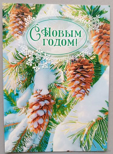 Шишки. С Новым годом! Открытка