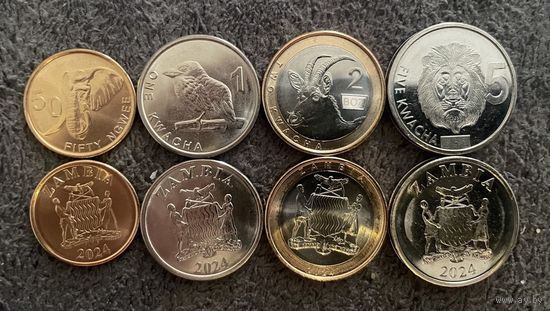 ЗАМБИЯ Набор 2024 50 нгве, 1, 2, 5 квача , животные 4 шт UNC флора фауна