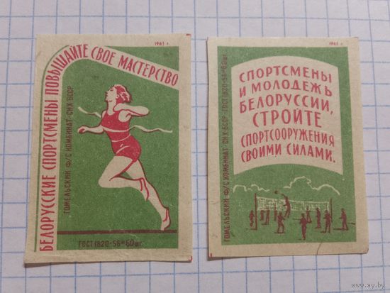 Спичечные этикетки ф.Гомель. Физкультура в БССР. 1961 год