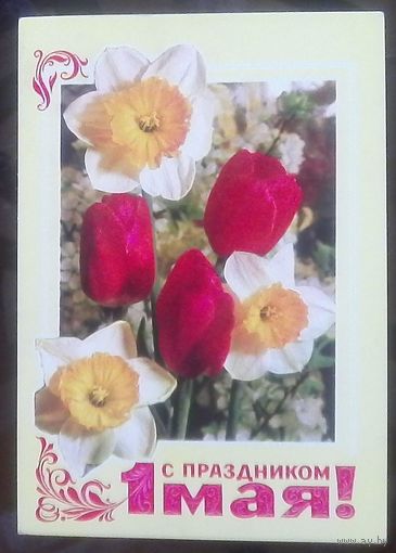 1975 год В.Гордеев С праздником 1 мая