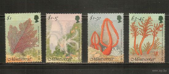Монтсеррат-1995(Мих.910-913) , **    , Морская Фауна ,(полная серия)