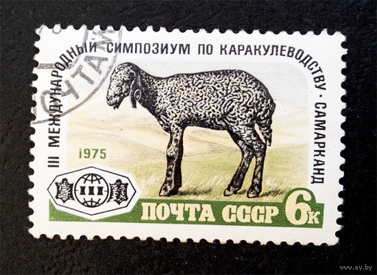 СССР 1975 г. 3-й Международный симпозиум по каракулеводству. Самарканд, полная серия из 1 марки #0138-Л1P8