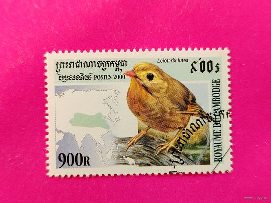 Камбоджа. Птицы. ( 1 марка ) 2000 года. 2-20.