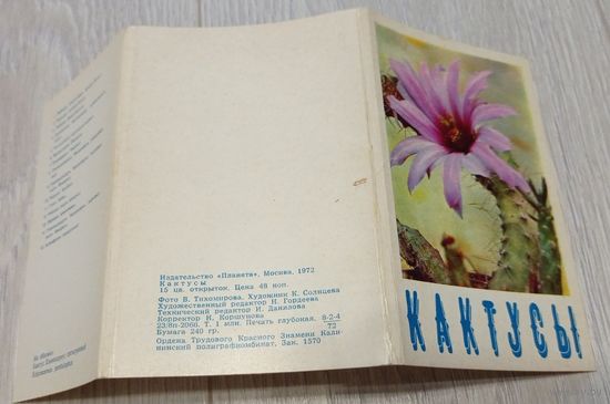 Кактусы. Полный набор открыток: 15 штук. 1972. Издательство "Планета"