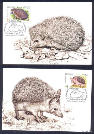 2012 Беларусь картмаксимумы фауна ёжики