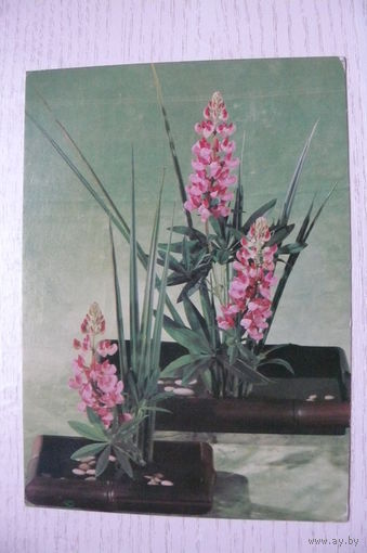 Тужиков В., Композиция из цветов; 1982, чистая.