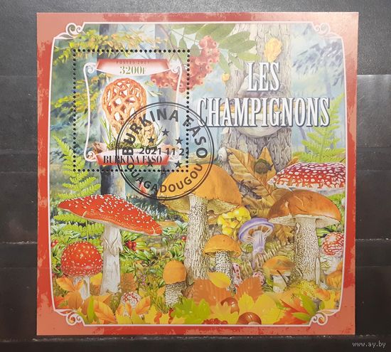 Буркина-Фасо. 2021 год. Флора. Грибы. Блок (1017)