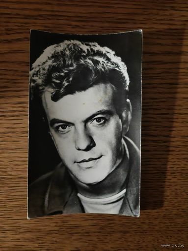 Артисты шалевич