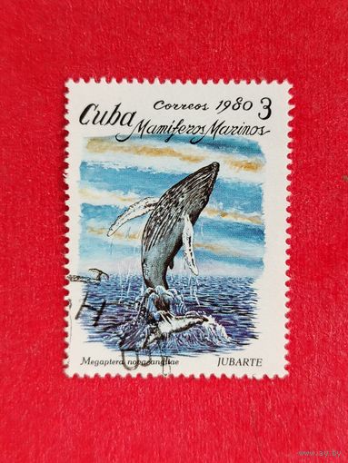 Куба. Фауна. ( 1 марка ) 1980 года. 4-4.