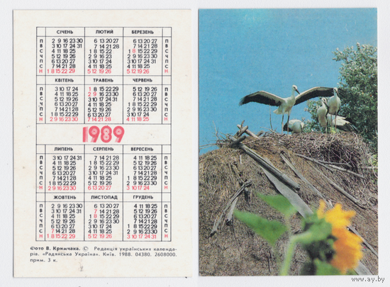 Календарь Аисты 1989