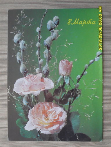 ЧИСТАЯ ПОЧТОВАЯ ОТКРЫТКА.8 МАРТА.фото.И.ДЕРГИЛЕВА. 1990г.