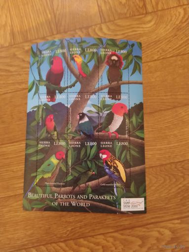Сьерра Леоне малый лист 2000 г. Попугаи.