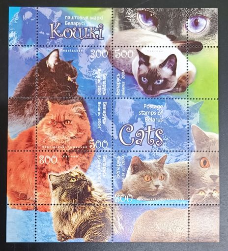 Беларусь 2004 фауна кошки