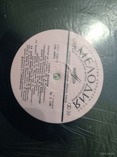 Виниловая пластинка