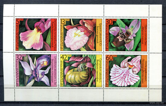 Болгария - 1986г. - Орхидеи - 1 малый лист - полная серия, MNH [Mi 3441-3446]. #O-Se-Z-2-43