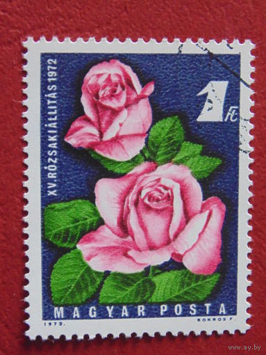 Венгрия 1972 г. Цветы.