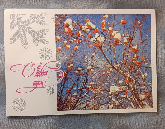 Новогодняя открытка 1976 г. Чистая.