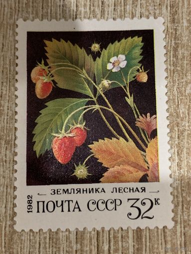 СССР 1982. Земляника лесная. Марка из серии