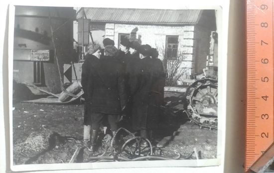 Фото в коллекцию