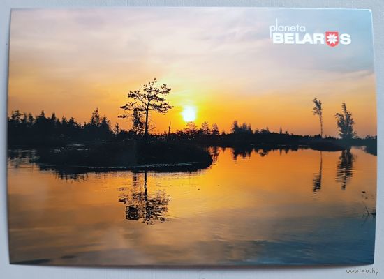 Серия "Планета Беларусь". Закат на болоте Ельня. Открытка, глянец