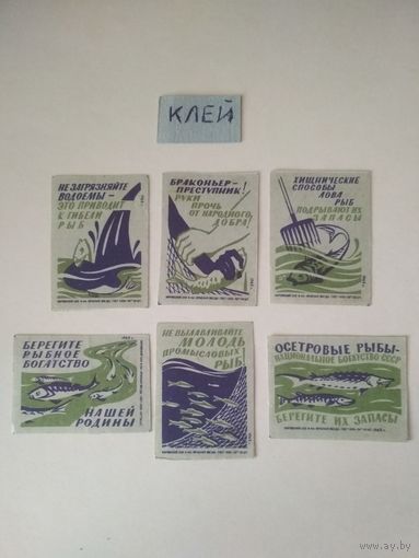Спичечные этикетки  ф.Красная звезда. Рыбоохрана.1962 год