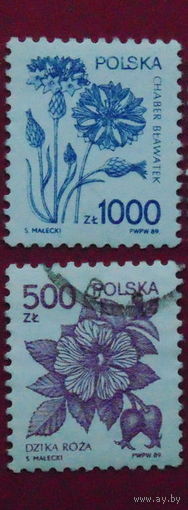 Польша 1989. Флора