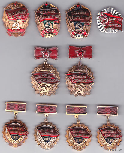 Победителю соцсоревнования 1973, 1974, 1976-1978, 1980 года. Ударнику 9-й, 10-й, 11-й и 12-й пятилетки.