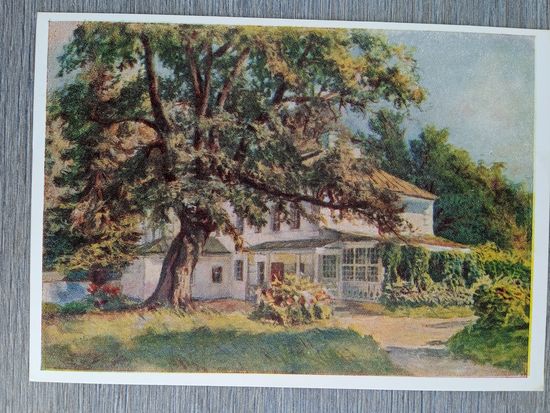 1953. Ванециан. Ясная Поляна. "Дерево бедных"