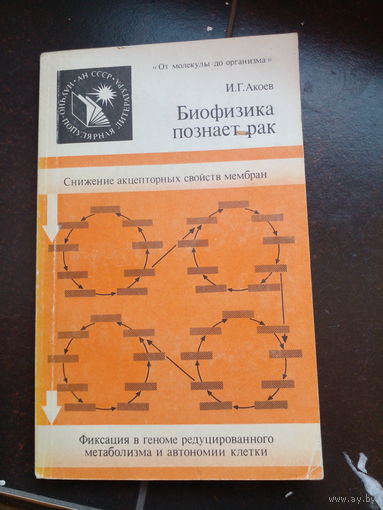 И. Г. Акоев. Биофизика познает рак.