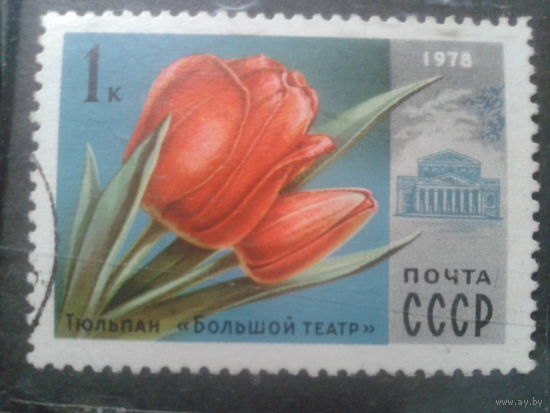 СССР, 1978. Тюльпан, Большой театр