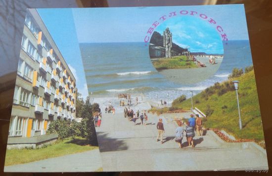 1988 год Светлогорск ДПМК