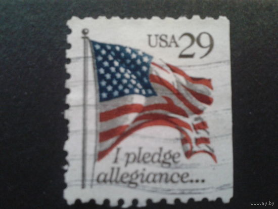 США 1993 стандарт, флаг