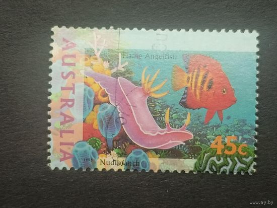 Австралия 1995. Жизнь моря. Огненный ангел