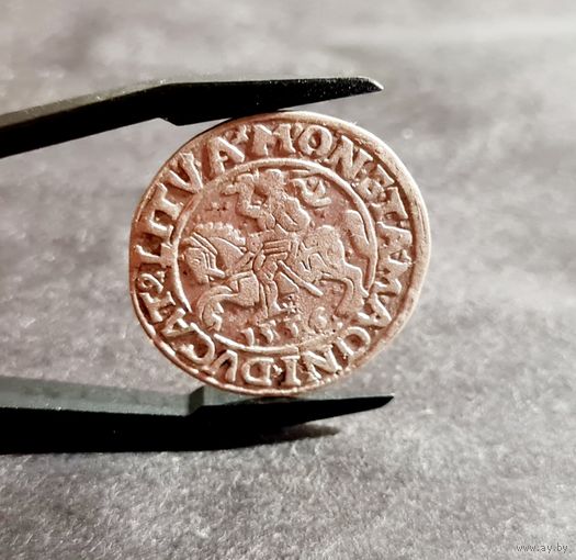 Полугрош 1/2 гроша 1556 года, Сигизмунд II, м.д. Вильно, Литва, Копицкий 3248, ХОРОШИЙ