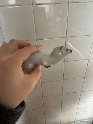 Куница фарфор