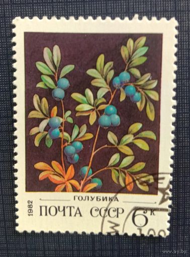 Марка СССР 1982 Голубика