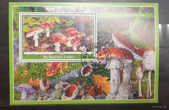 Буркина-Фасо. 2019 год. Флора. Грибы. Блок (1018)