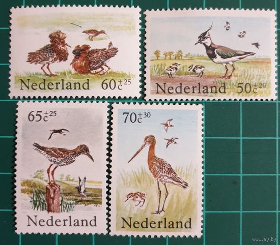1984 Птицы - Благотворительные марки-Нидерланды