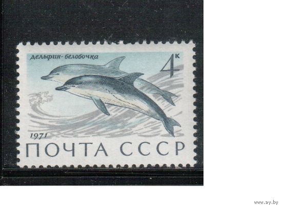 СССР-1971, (Заг.3964) ** , Фауна, Дельфины,