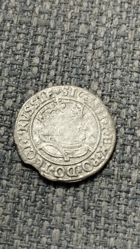 Грош 1534  ВКЛ.
