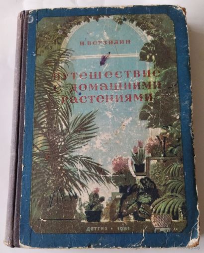 Путешествие с домашними растениями
