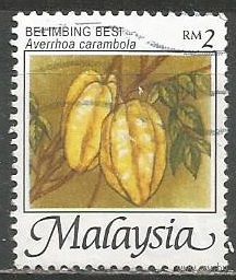 Малайзия. Фрукты. Карамбола. 2005г. Mi#1355.