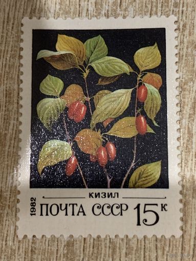 СССР 1982. Кизил. Марка из серии