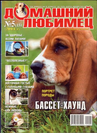Домашний любимец #15