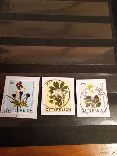Австрия флора цветы (1-л1)