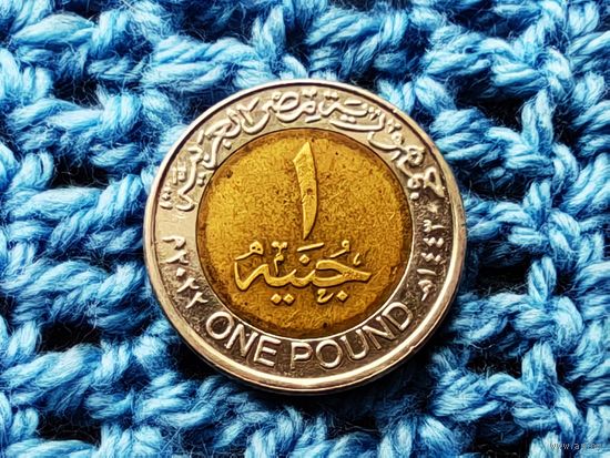 Египет. 1 фунт 2022.