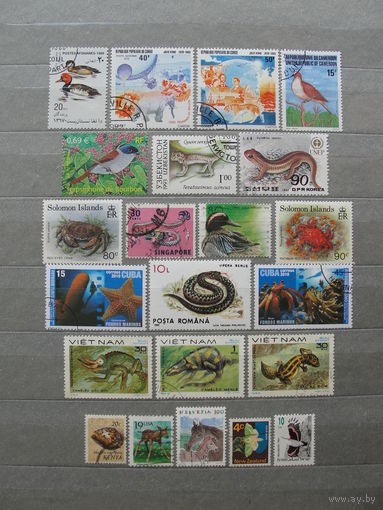 Продажа коллекции с 1 рубля! Фауна на почтовых марках мира.
